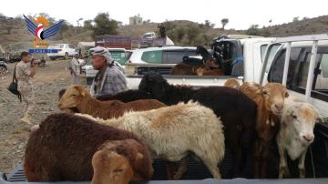 قافلة من أبناء السياني بإب للمرابطين في جبهتي الأقروض والصلو بتعز قافلة من أبناء السياني بإب للمرابطين في جبهتي الأقروض والصلو بتعز