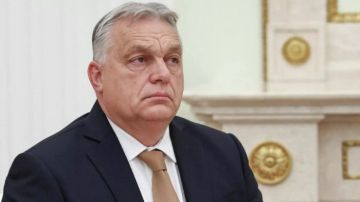 أوربان يهاجم زيلينسكي: يشارك في كل الانتخابات عدا أوكرانيا