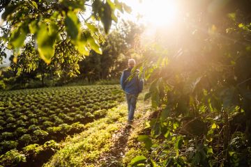 دراسة على مئات الآلاف من الأشخاص تكشف مقياسا بسيطا يتنبأ بخطر الوفاة