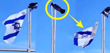 الكيان الغريب: في فلسفة الوجود والصراع بين الجسد والسرطان الكيان الغريب: في فلسفة الوجود والصراع بين الجسد والسرطان