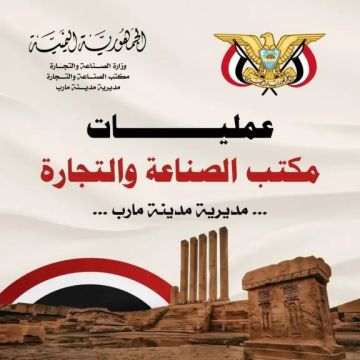 مأرب تكشف المستور: من يرفع أسعار الدجاج؟ ولماذا عجزت الجهات المحلية؟!