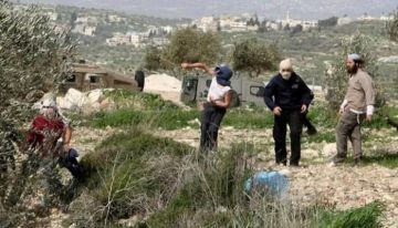 مستوطنون يهاجمون قرية يبرود شرق رام الله وفلسطينيون يتصدون لهجوم مستوطنين آخرين في بلدة قصرة