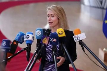 كالاس: الاتحاد الأوروبي يطرح نموذج مبادرة البحر الأسود لفتح مضيق هرمز كالاس: الاتحاد الأوروبي يطرح نموذج مبادرة البحر الأسود لفتح مضيق هرمز