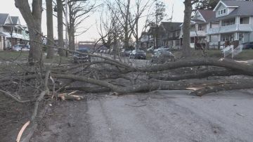 انقطاع الكهرباء عن 450 ألف مشترك وأضرار كبيرة في الممتلكات في أميركا بسبب رياح عاتية انقطاع الكهرباء عن 450 ألف مشترك وأضرار كبيرة في الممتلكات في أميركا بسبب رياح عاتية