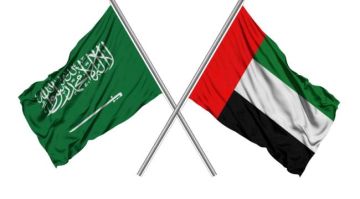 من جوع كلبك يتبعك إلى علمني كيف أصطاد قراءة في الفوارق بين النهجين السعودي والإماراتي في جنوب اليمن