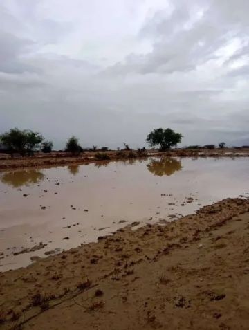 اليمن تحت وطأة منخفض جوي.. أمطار غزيرة وسيول تهدد حضرموت والمهرة