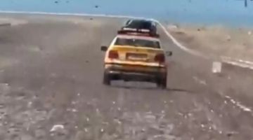 اجتياح أسراب الجراد لجنوب المغرب بعد أمطار استثنائية