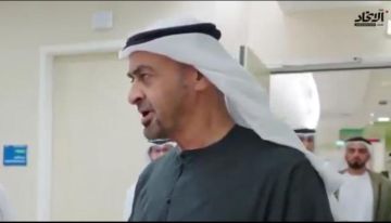 محمد بن زايد : الامارات جلدها غليظ ولحمتها مرة