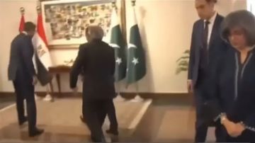 شاهد لحظة سقوط وزير الخارجية الباكستاني على ظهره أثناء استقباله نظيره المصري (فيديو) شاهد لحظة سقوط وزير الخارجية الباكستاني على ظهره أثناء استقباله نظيره المصري (فيديو)