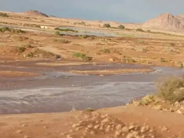 اشتباكات مسلحة بين قبيلتي آل أبو عشال وآل دريب - الإشراف في محافظة الجوف