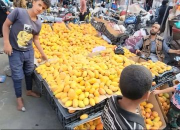 انهيار تاريخي في أسعار الفواكه.. خسائر بالملايين وتبني للمحاصيل في الشوارع!