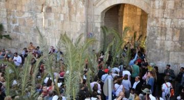 أسبانيا تدين منع إحياء أحد الشعانين في القدس وتطالب باحترام الحرية الدينية أسبانيا تدين منع إحياء أحد الشعانين في القدس وتطالب باحترام الحرية الدينية