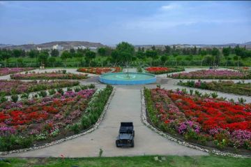 ريف السعودية: قطاع الورد يسجل نموا بأكثر من 15 سنويا ريف السعودية: قطاع الورد يسجل نموا بأكثر من 15 سنويا