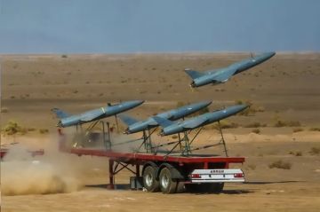 متحدث الجيش الإيراني:استخدام مسيرات متطورة في الهجوم على مطار بن غوريون متحدث الجيش الإيراني:استخدام مسيرات متطورة في الهجوم على مطار بن غوريون