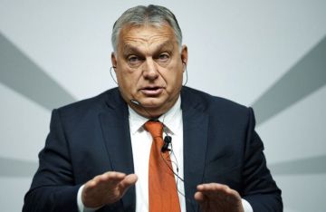 هنغاريا تدعو لتحويل أوكرانيا إلى منطقة عازلة بين روسيا والغرب هنغاريا تدعو لتحويل أوكرانيا إلى منطقة عازلة بين روسيا والغرب