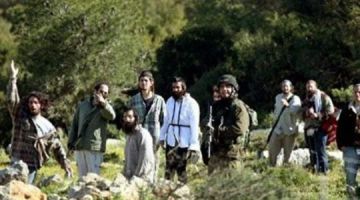  مقاومة الجدار الفلسطينية: المستوطنون نفذوا 192 اعتداء في الأسبوعين الأخيرين