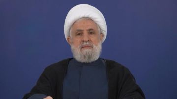 الشيخ قاسم: التوقيت الذي اختارته المقاومة للرد على العدوان فوت على العدو فرصة مفاجأتنا والاستفراد بلبنان