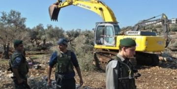 العدو الإسرائيلي يقتلع 130 شجرة زيتون في بلدة اذنا غرب الخليل ويحتجز عددا من الفلسطينيين في الرأس الأحمر شرق طوباس