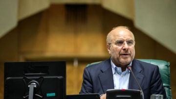 قاليباف: ترامب عاجز عن إنهاء الحرب.. وأمن المنطقة يجب أن ينبع من داخلها