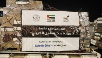 الإمارات.. إرسال أدوية عاجلة إلى غزة ضمن عملية الفارس الشهم 3 