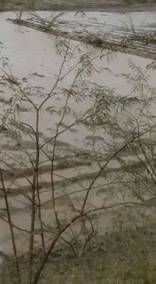 أمطار رعدية على 12 محافظة خلال الساعات القادمة.. وتحذيرات مهمة للسكان