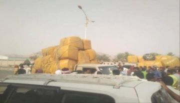 فرض رسوم ضريبية جديدة على القات بمحافظة الضالع فرض رسوم ضريبية جديدة على القات بمحافظة الضالع