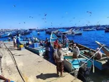 عودة الأمل إلى حضرموت: استئناف التشغيل في ميناء الشحر ينهي أشهرا من الركود وينعش الأوضاع المعيشية للمئات