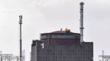 مقتل أحد موظفي محطة زابوروجيه للطاقة النووية في هجوم أوكراني