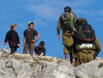 خبير: اعتداءات المستوطنين سياسة رسمية لحسم الصراع والمقاومة الشعبية هي الرادع