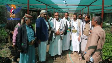 تعز.. تدشين الأنشطة الزراعية والتنموية في المدارس الصيفية