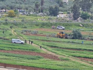 مواجهات مع العدو الإسرائيلي في بيت فوريك واقتلاع عشرات الأشجار المثمرة في اللبن الشرقية جنوب نابلس