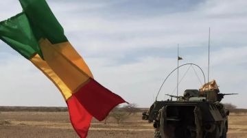 اشتبك معهم وجها لوجه.. مقتل وزير دفاع مالي في هجوم مسلحين على مقر إقامته