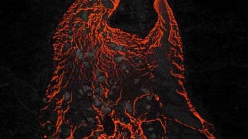 كائن طري بلا عظام... لغز أول مخلوق على الأرض يحير العلماء