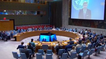 صادم.. الحوثي يشن هجوما ناريا على غروندبرغ: أنت متحيز لأمريكا وتطبع مع إسرائيل! 