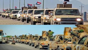 صحيفة كبرى في عدن : ماذا سيحصل بعد تفكيك القوات التي أنشأتها الإمارات؟