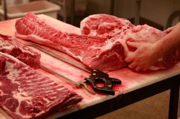 علماء: تفاوتات غذائية حادة مرتبطة بالنوع الاجتماعي كانت قائمة قبل عشرة آلاف عام في أوروبا