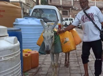 كارثة المياه: إيجار الحمار يرتفع والمواطن يبحث عن قطرة ماء بعدن!