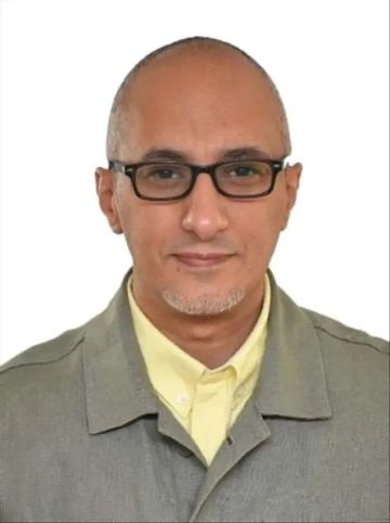 لطفي نعمان يحطم المحظور: الحل لن يأتي من الخارج.. والبديل في 4 دول عربية!