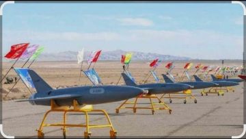 سي إن إن تؤكد: إيران لا تزال تمتلك آلاف الطائرات المسيرة الانتحارية سي إن إن تؤكد: إيران لا تزال تمتلك آلاف الطائرات المسيرة الانتحارية