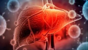 أفضل طرق التخلص من دهون الكبد