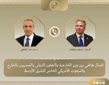 وزير الخارجية المصري يبحث مع مبعوث ترامب مستجدات الوضع الإقليمي