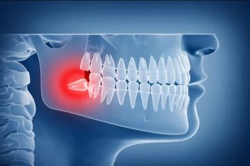لماذا يمتلك الإنسان ضروس العقل؟ العلم يوضح السبب التطوري لماذا يمتلك الإنسان ضروس العقل؟ العلم يوضح السبب التطوري