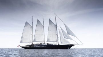 مشهد طبيعي نادر.. كيف تحول يخت بيزوس إلى مسرح للدلافين؟