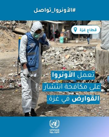 الأونروا: القوارض تنتشر في غزة وسط أزمة بيئية ونقص حاد في المبيدات