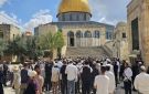 96 مستوطنا يقتحمون المسجد الأقصى - ye