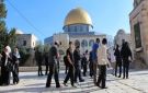 عشرات المستوطنين يقتحمون المسجد الأقصى