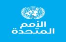 غرينسبان: الأمم المتحدة تواجه خطر الإفلاس الفعلي