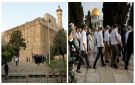 مستوطنون يقتحمون المسجد الأقصى بحماية قوات العدو الصهيوني - ye