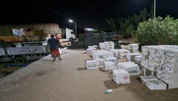 لحج.. ضبط شحنة مبيدات تالفة أثناء محاولة تهريبها لحج.. ضبط شحنة مبيدات تالفة أثناء محاولة تهريبها