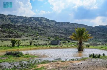 أمطار الباحة تنعش البيئة الطبيعية وتعزز جاذبية المنطقة سياحيا